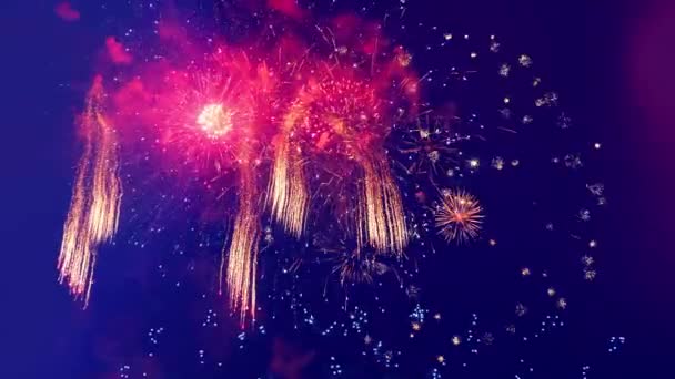 Fogos de artifício brilhantes estão explodindo na escuridão — Vídeo de Stock