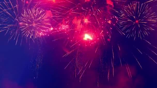 De donkere hemel wordt verlicht met vuurwerk explosies — Stockvideo