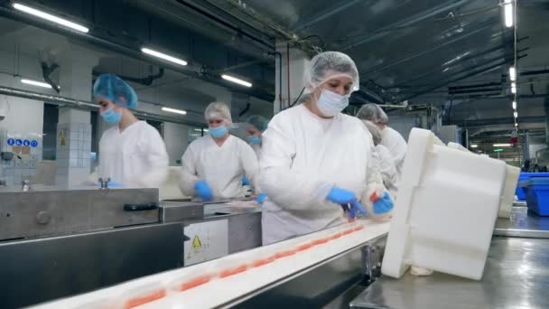 Работницы перемещают упакованные съедобные куски. Концепция пищевой промышленности . — стоковое видео