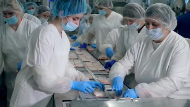 Przenośnik fabryczny z wieloma żeńską pracownikami pakująca żywność — Wideo stockowe