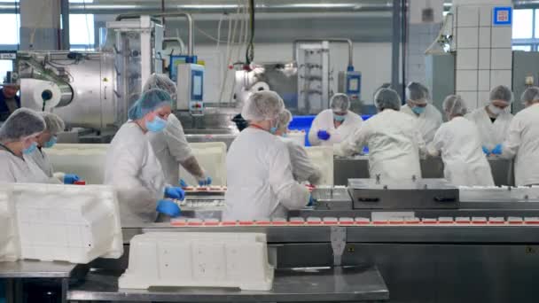 Arbeiterinnen verdrängen verpackte Snacks auf einem Förderband in einer Lebensmittelfabrik. — Stockvideo