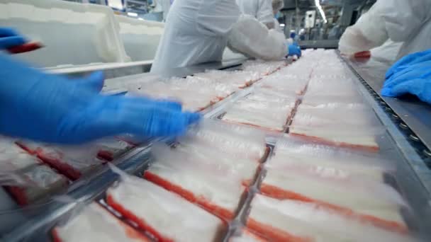 Conveyor belt with packed crab sticks moving along it. Food factory facility equipment. — Stock Footage Conveyor belt with packed crab sticks moving along it. Food factory facility equipment. Video Clip
