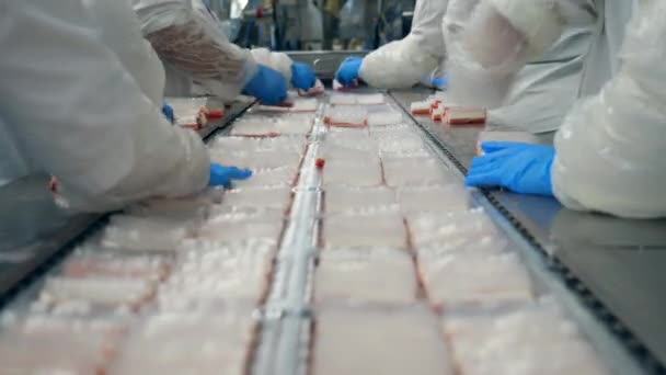 Transportador de fábrica reubicando porciones de palitos de comida — Vídeos de Stock