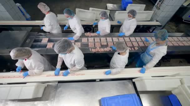 Κορυφαία άποψη των γυναικών εργαζομένων σε μια εγκατάσταση παραγωγής τροφίμων — Αρχείο Βίντεο