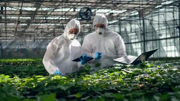 Dva biologové pracují s počítačem ve zeleně. Zemědělství, herbicid, chemické látky v zemědělství. — Stock video