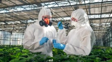 Pestisit içeren bir tüp iki tarım uzmanı tarafından analiz ediliyor.