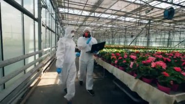 Çiçekleri olan Glasshouse ve iki biyomühendis yürüyor. Genetik modifikasyon kavramı.