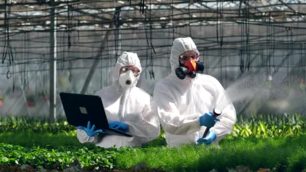 Les employés de Greenery saupoudrent et observent des usines. Poison, pesticide dans les aliments concept . — Video