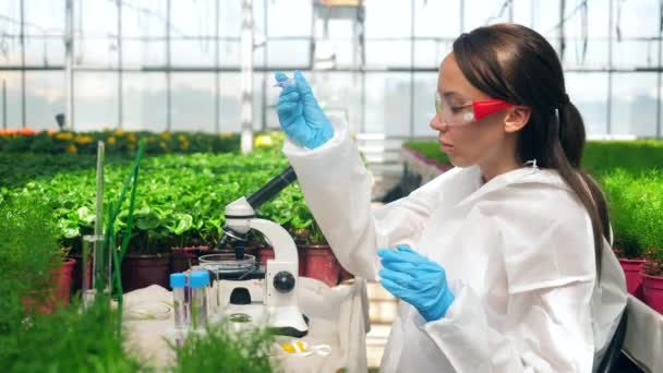 Especialista femenina está analizando una sonda química bajo el microscopio. Agricultura, herbicida, productos químicos en la agricultura . — Vídeo de stock