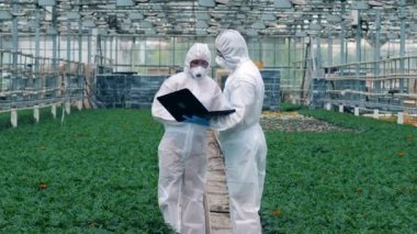 Dizüstü bilgisayarı olan iki bilim adamı cam evde konuşuyor. Genetik modifikasyon kavramı.