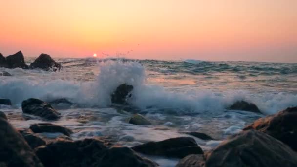 Hermosa puesta de sol con las olas rompiendo en la playa — Vídeo de stock