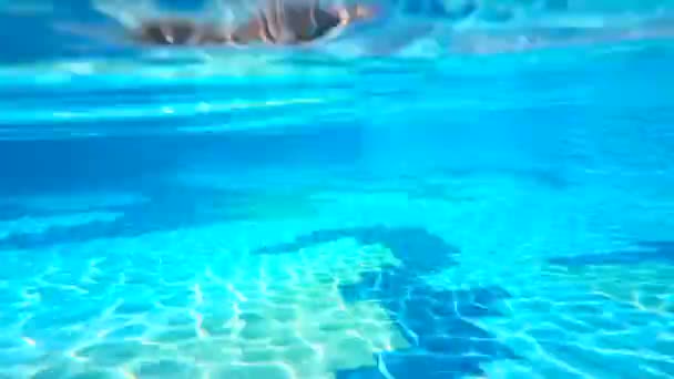 Sumergirse en el agua de la piscina y salir de ella — Vídeo de stock