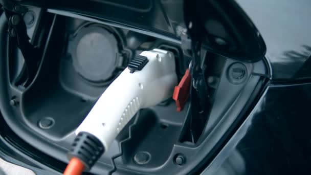 Auto wird mit Strom aufgeladen — Stockvideo