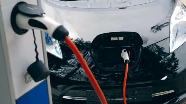 Svart bil blir elektriskt laddad — Stockvideo