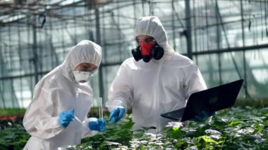 Erkek ve kadın serada çalışırken test tüpü ve pipet kullanıyor.