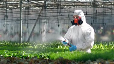 Bir serada tencere profesyonel botanikçi suları bitkiler.