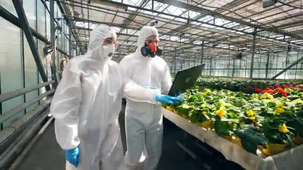 Los biólogos caminan en un invernadero, revisando flores en macetas . — Vídeo de stock