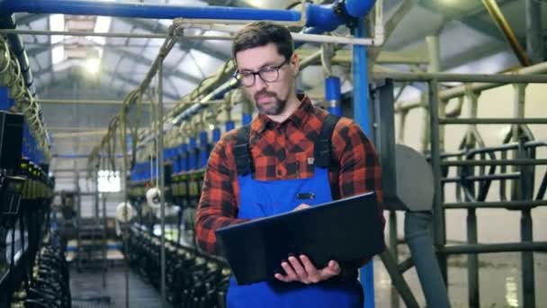 Eén boer werkt met een laptop die in een melk faciliteit staat. — Stockvideo