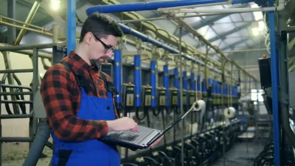 Il lavoratore guarda le macchine in un impianto di mungitura, digitando su un computer portatile . — Video Stock