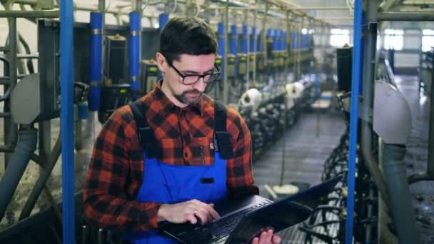 Ingegnere agricolo lavora con un computer portatile, controllando le mungitrici . — Video Stock