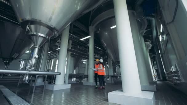 Un hombre y una mujer ingenieros están teniendo una conversación en la unidad cervecera — Vídeos de Stock