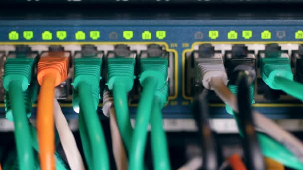 Ranuras numeradas con múltiples cables conectados a ellos — Vídeo de stock