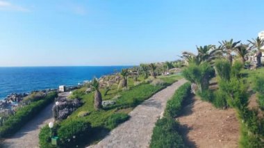 Bir tatil beldesinde mavi bir denizin yanında büyüyen palmiye ağaçları.