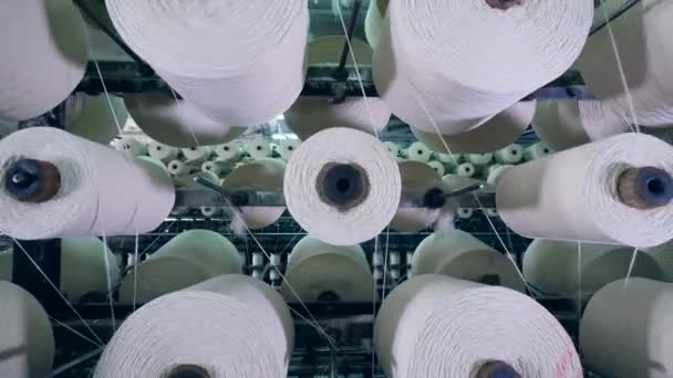 Reels with white threads are revolving. Textile factory equipment. — Stock Video