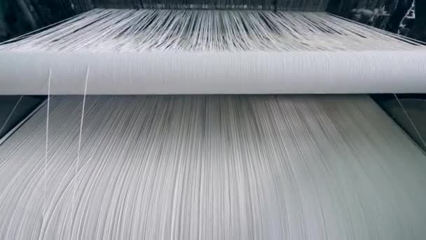 Textile factory equipment. Sewing loom with plenty of white threads in strings — Stock Video