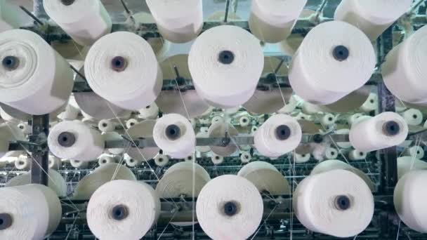 Rolling sewing spools with warping white threads. Textile factory equipment. — Stock Video