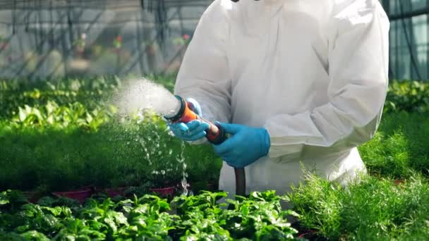 Düngeschlauch wird vom Biologen eingeschaltet — Stockvideo