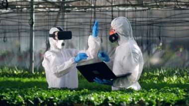Agronomist Vr gözlük takıyor ve iş arkadaşıyla çalışıyor.