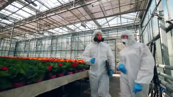 Two chemists are walking along the glasshouse and talking — Stock Video