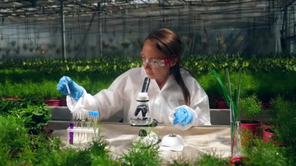 Las sustancias químicas están siendo probadas en las plantas por un agrónomo femenino — Vídeos de Stock