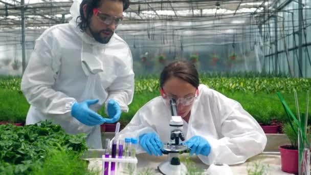 Two biologists are having a research with chemicals in the greenery — Stock Video