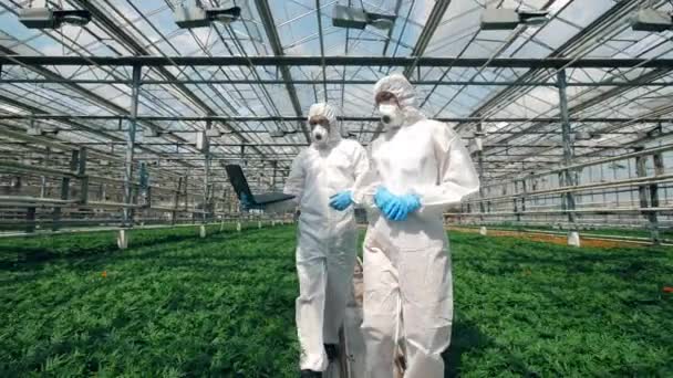 Estufa e cientistas caminhando ao longo dele e observando plantas — Vídeo de Stock