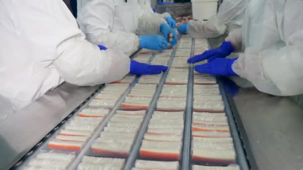 Industrial workers are packaging crab products — Stock Video