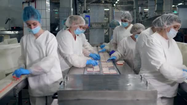 Techničtí technici přelokují krabí tyčinky. Výrobní linka v potravinářském závodě. — Stock video