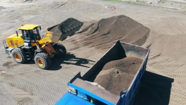 Τρακτέρ με έναν κουβά φορτώνει μια μηχανή με άμμο και Ραμπλς. — Αρχείο Βίντεο