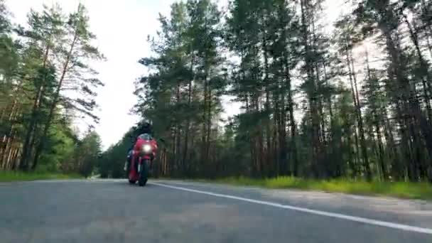 Rider kör en cykel längs vägen med tallar. Motorcyklist racing sin motorcykel. — Stockvideo