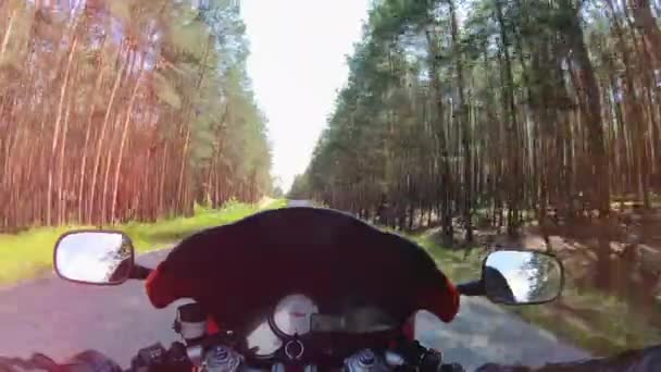 Vista em primeira pessoa de uma bicicleta enquanto conduz ao longo da floresta — Vídeo de Stock