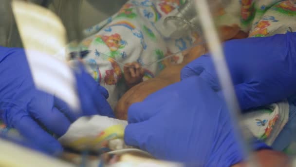 Sjuksköterskorna tar hand om ett nyfött barn i inkubator. — Stockvideo