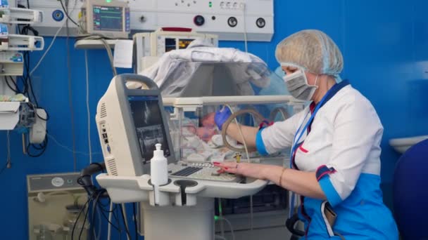 Arts maakt gebruik van echografie tijdens het controleren van babys Heart. — Stockvideo