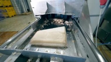 Fabrika işçisi bir gıda fabrikasında bir konveyör üzerinde ürünler koyar.