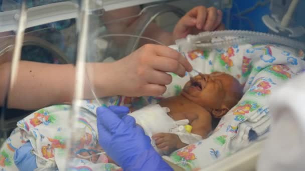 Krankenschwestern befestigen Schläuche an einem Neugeborenen im Brutkasten. — Stockvideo