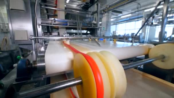 Les rouleaux travaillent dans une installation alimentaire d'une usine . — Video