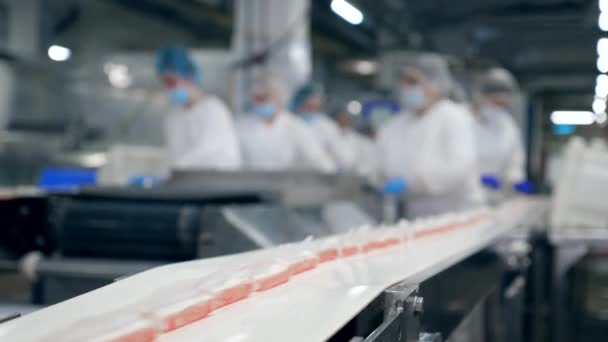 Personas en uniforme trabajan con un transportador en una fábrica de alimentos . — Vídeos de Stock