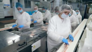 Bir gıda fabrikasında çalışan kadınlar, konveyör ürünleri paketleme.