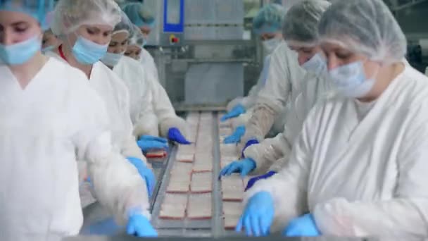 Working women pack products into containers on a line. — Stock Video