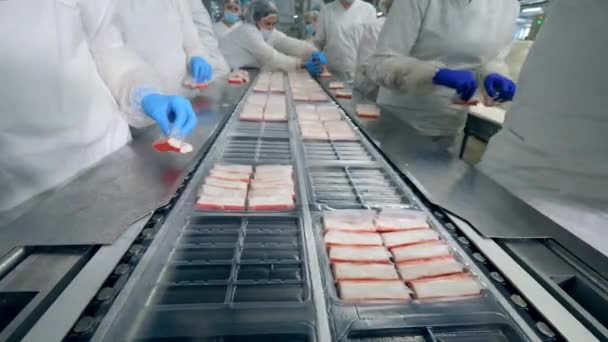 Trabalhadores de fábricas de alimentos colocam produtos em recipientes de plástico em um transportador . — Vídeo de Stock